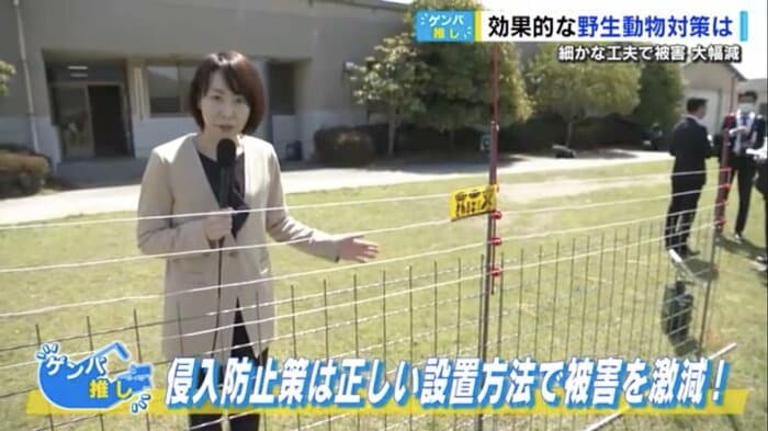 若木憲子 記者