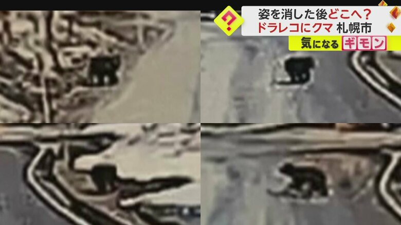 【前を横切る】ドラレコに1m弱の黒い影…若いクマか　10日前“15ｍ”至近距離で遭遇した夫婦も　札幌市で目撃情報相次ぐ｜FNNプライムオンライン