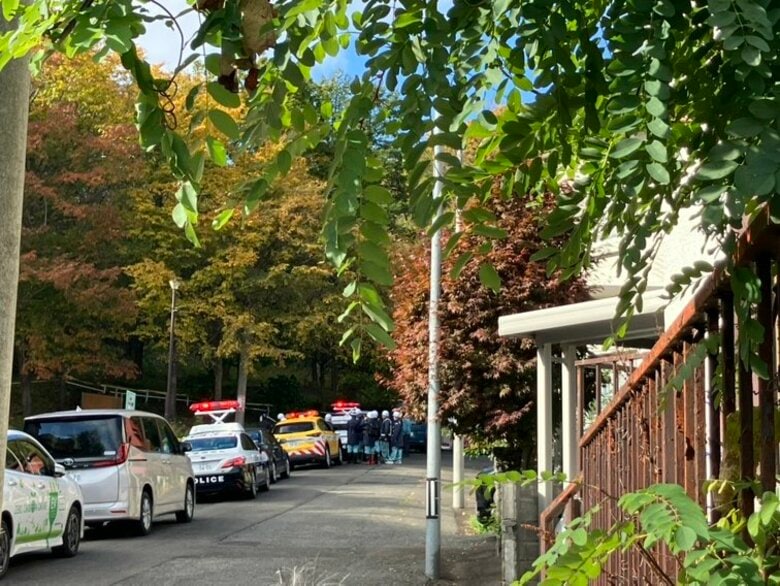 【ヒグマ速報】朝の公園に…子グマ2頭が”居座る”現場に規制線を張り「緊迫感」警戒続く〈北海道札幌市〉｜FNNプライムオンライン