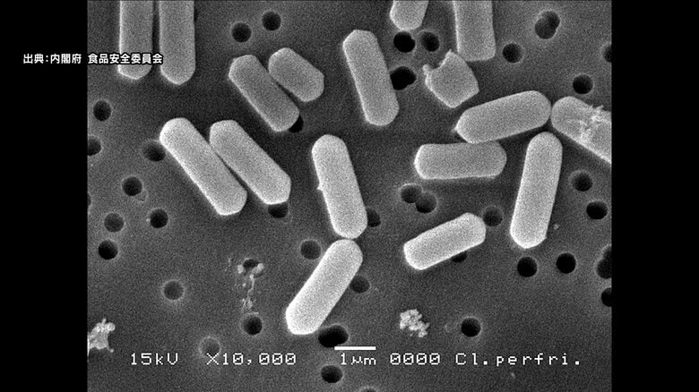 宿泊施設でバイキング形式の夕食を食べた18人が食中毒　原因は「ウエルシュ菌」宿泊施設は3日間営業停止に　長野・上田市｜FNNプライムオンライン