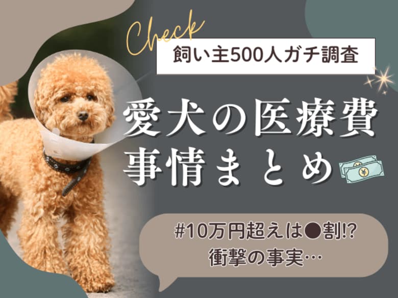 【飼い主500人に調査】愛犬の医療費10万円超えは、まさかの●割…！高額化で加速する「備え」の新常識