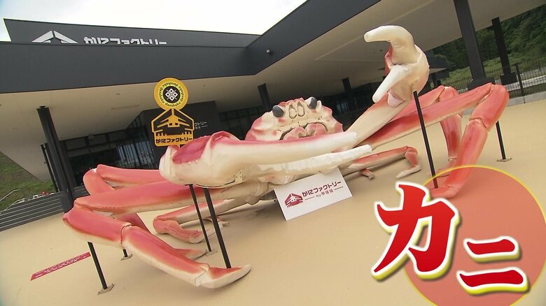 「カニをもっと身近に」創業15年で売上150億円！双子の兄弟が生み出す「かにファクトリーby甲羅組」敦賀に7月16日オープン｜FNNプライムオンライン