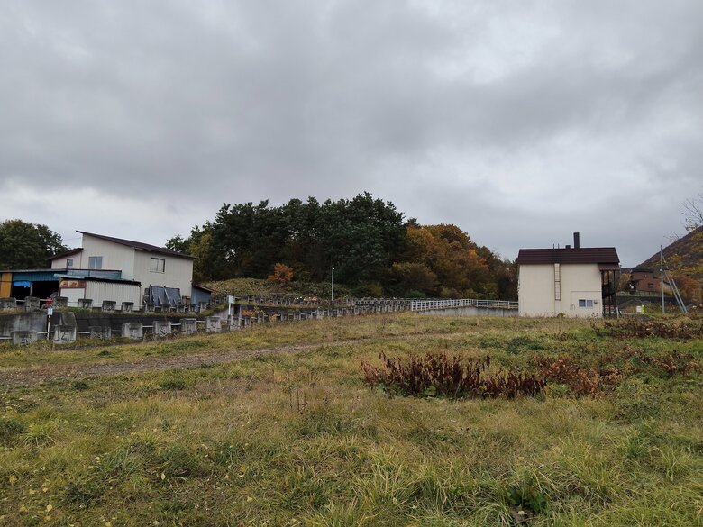 【ヒグマ出没中】札幌市の住宅街に子グマ1頭出没中…ハンター出動で警戒&lt;br /&gt;住宅の敷地内から移動し付近を徘徊_通報相次ぐ＜北海道札幌市＞｜FNNプライムオンライン