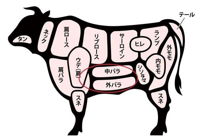 ※かっぱ肉は、「赤丸で囲われた部分の外側に位置する部位」となっている。