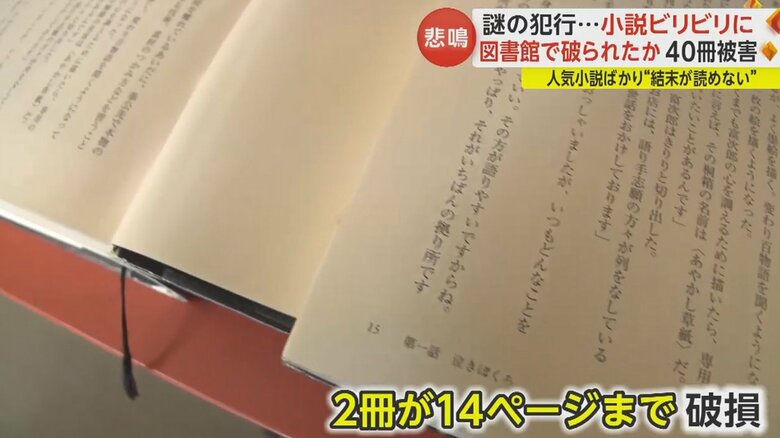 同じ本2冊のほぼ同じページが破られていた