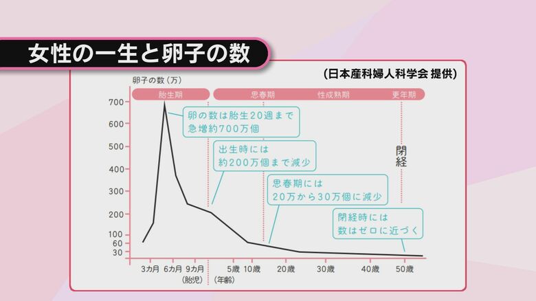 女性の年代別の卵子の数