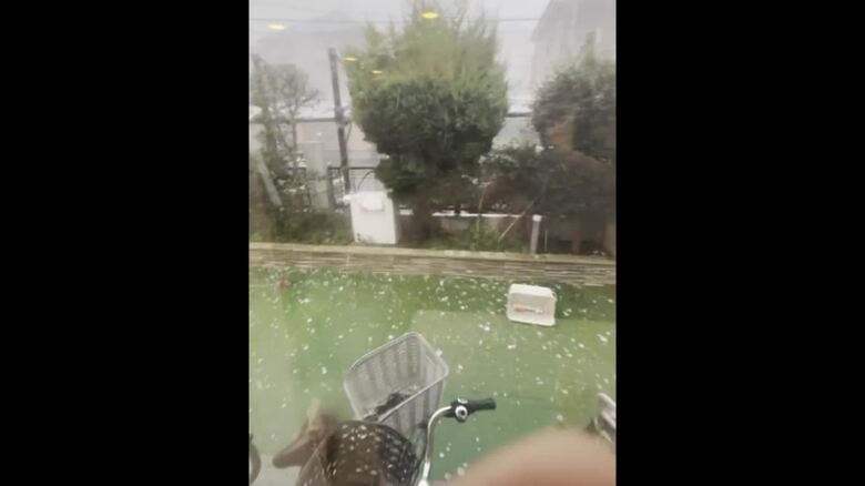 ひょうの被害の様子