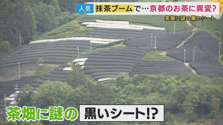 京都府・和束町