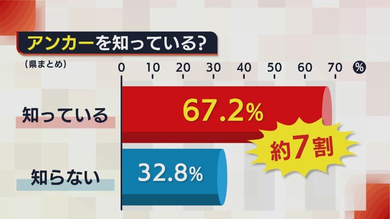アンカーを知っている？