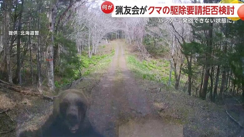 ヒグマが車に突進してフロントガラスとワイパーを破壊する様子