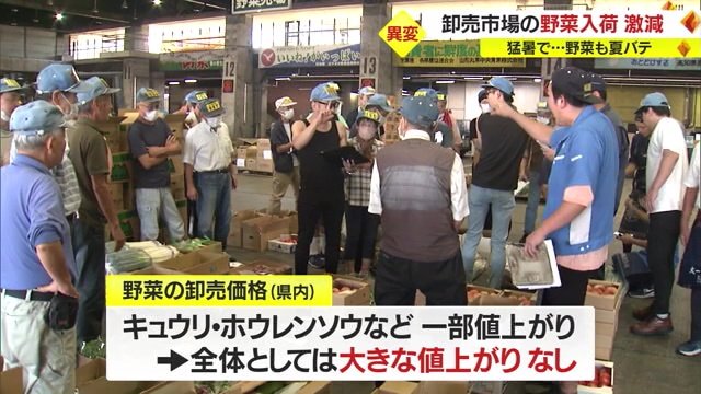大きな値上がりはみられない。理由は…
