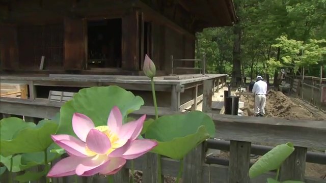 本堂で続く復旧工事　2024年度中の全面再開目指す