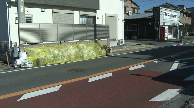 親子が倒れていた県道163号（沼津市）