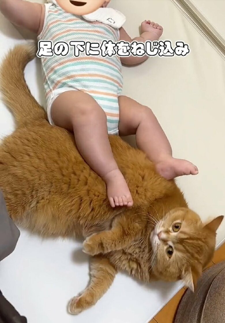 体をねじこんで…くっついていたい