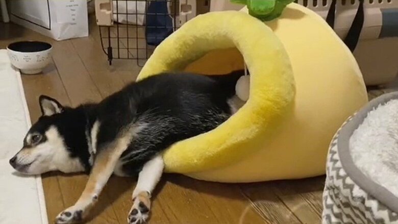 出てしまうことも