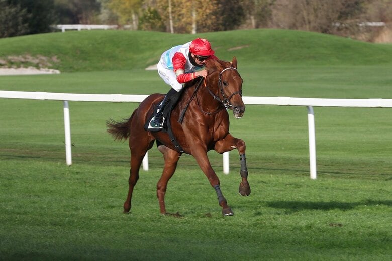 テュネス©Marc Rüel