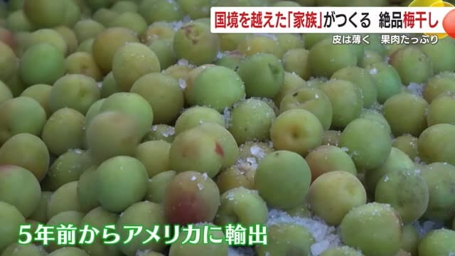 ウエさんの語学力が海外営業に活かされた