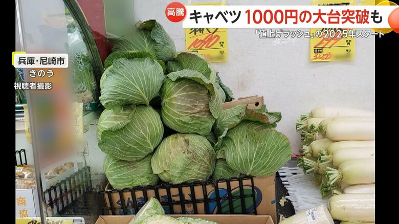 兵庫・尼崎市のスーパーではキャベツ1玉が1090円に