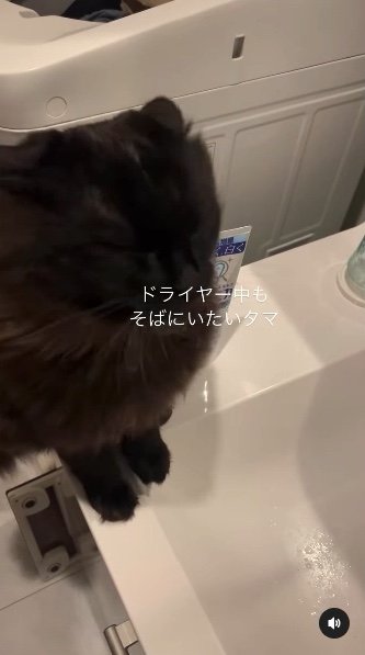 提供：イナタマグラムさん