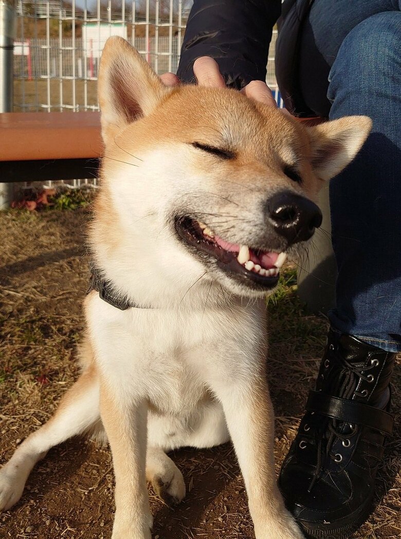 「気持ちいい…」