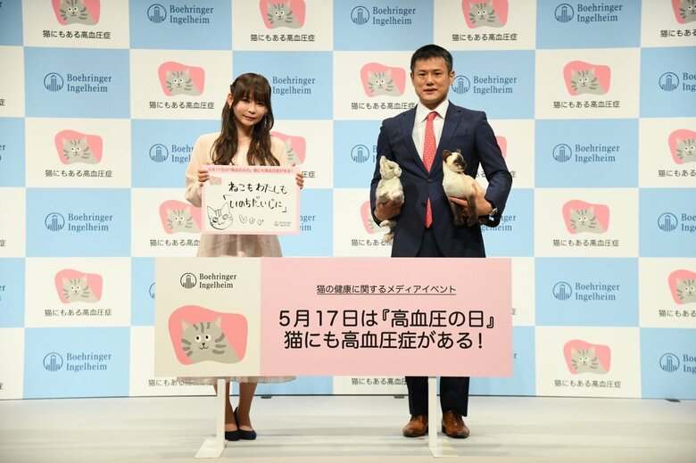 主催者名：ベーリンガーインゲルハイムアニマルヘルスジャパン　イベント名：5月17日は『高血圧の日』、猫にも高血圧症がある！