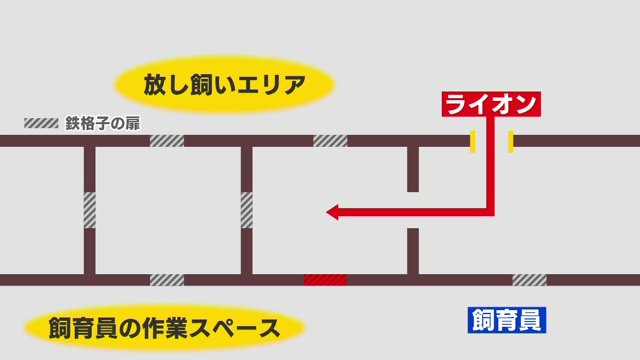 鉄格子の扉を開け閉めして飼育員と動物が接触しないよう対応