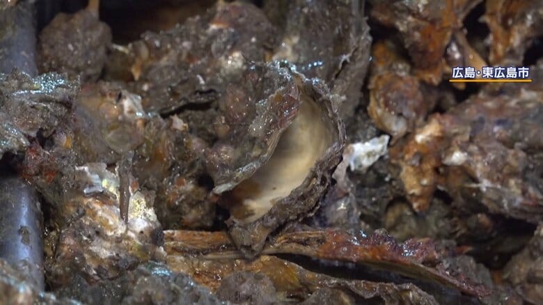 （中身が入っていないカキ）