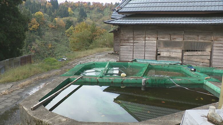 クマが現れた養鯉池（小千谷市）