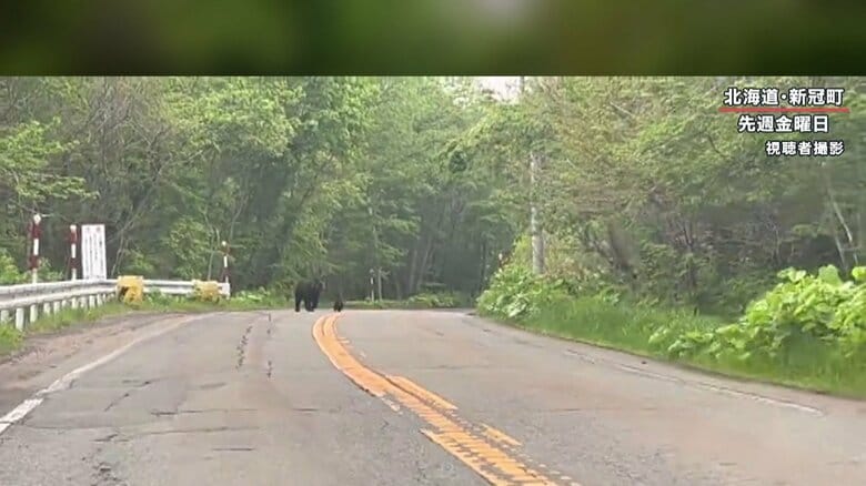 来た道をバックするが…