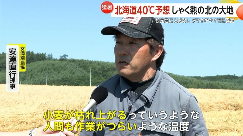 暑さで小麦や野菜全般に影響があると語る、女満別農協・安達直行理事