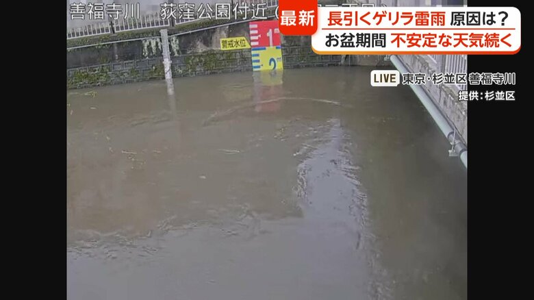 13日午後4時20分頃の善福寺川の様子