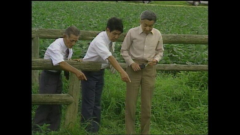 保護地でミヤコタナゴを観察される陛下