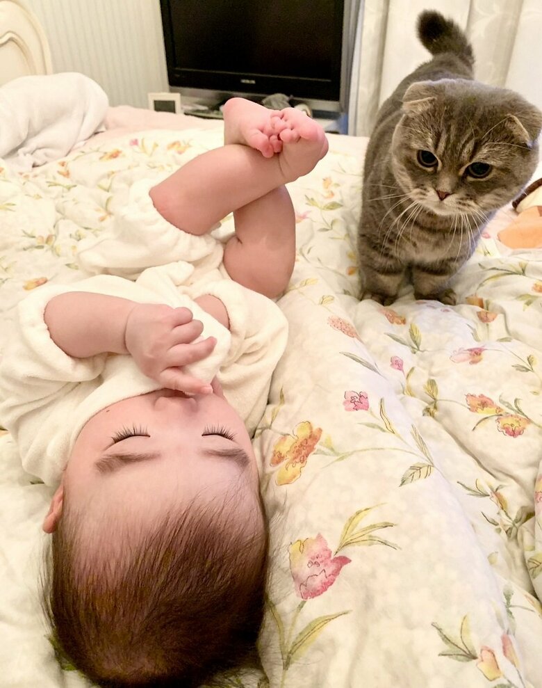 娘さんが生まれて間もない頃、見守るたこやきくん