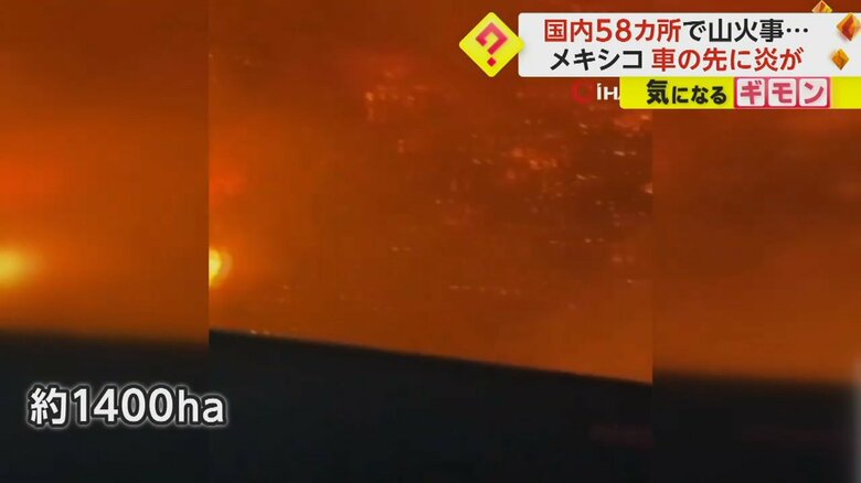約1400haが燃えている山火事の様子