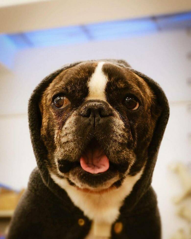 提供：丸男さん