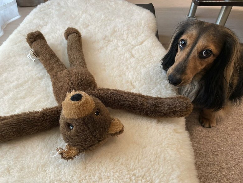 提供：るのんさん