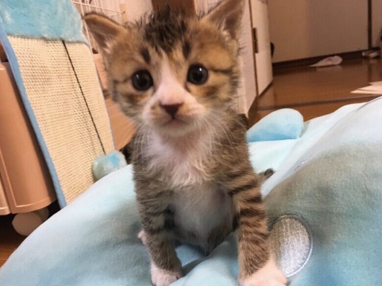 提供：もずく＆こんぶさん