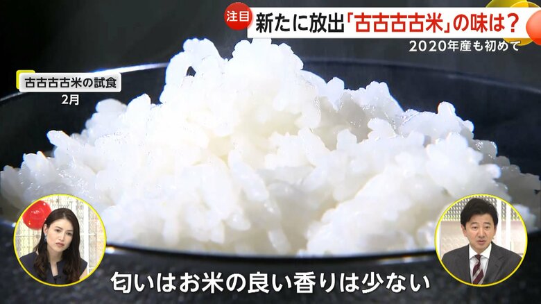 2月にコメ店を取材した際に試食した古古古古米