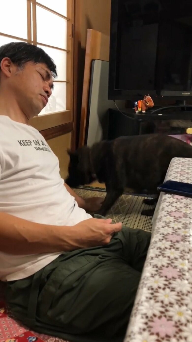 現れるななちゃん