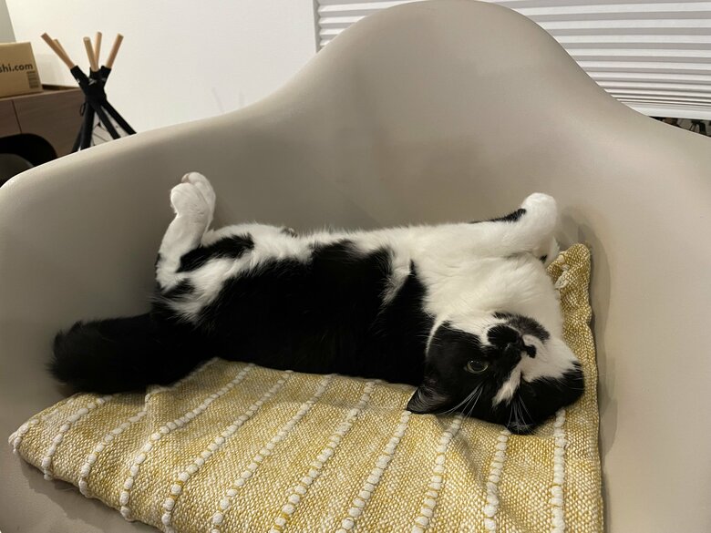 提供：卵山玉子先生