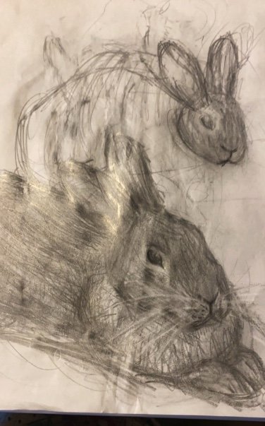 提供：櫻井京太郎さん