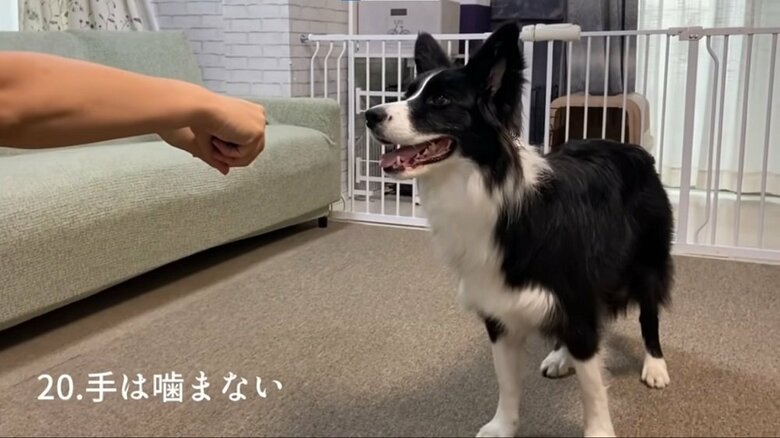 手は噛まない（手の中におもちゃがある）