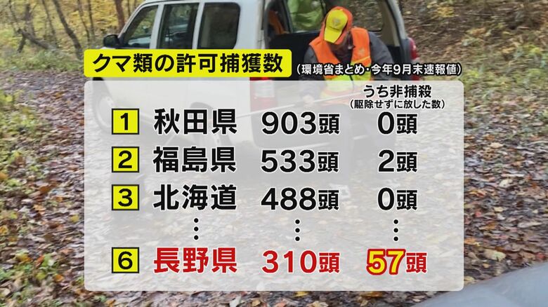 クマ類の許可捕獲数