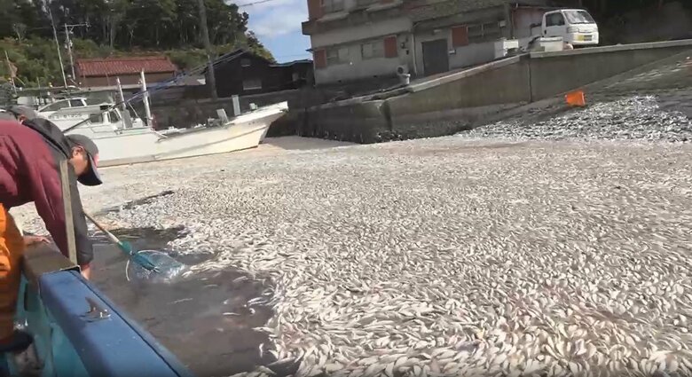 三重県志摩市の波切漁港