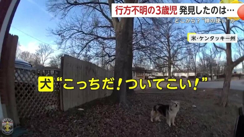 警察官を“誘導”する1匹の犬（Louisville Metro Police Department）