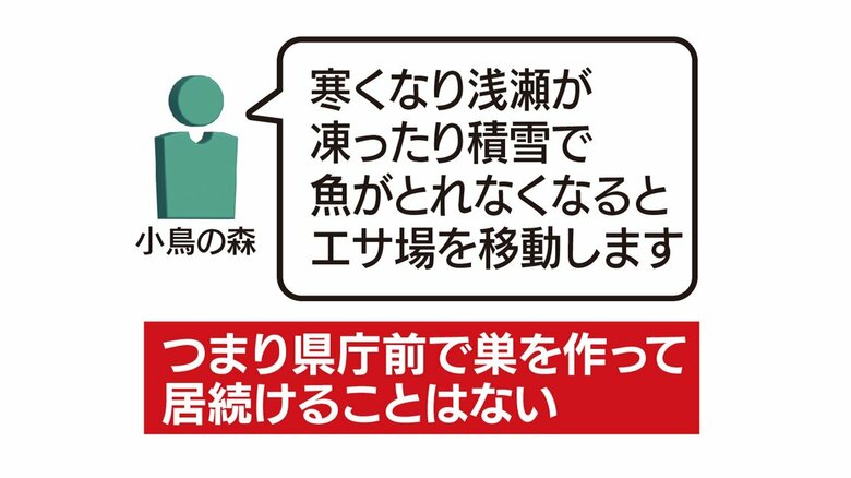 凍結や積雪でエサがとれなくなれば移動するというが…