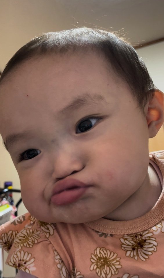 提供：ののさん