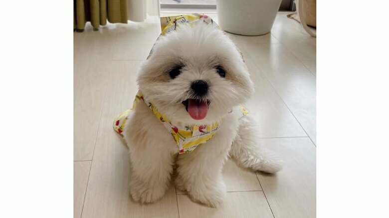 カッパを着てうれしそうなみかんちゃん