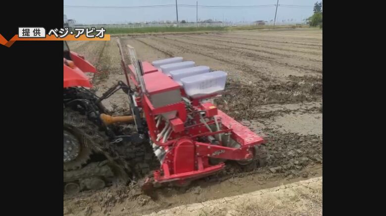 節水型乾田直播