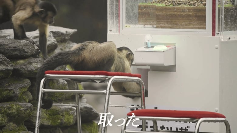 （出典：株式会社ワイドレジャー）